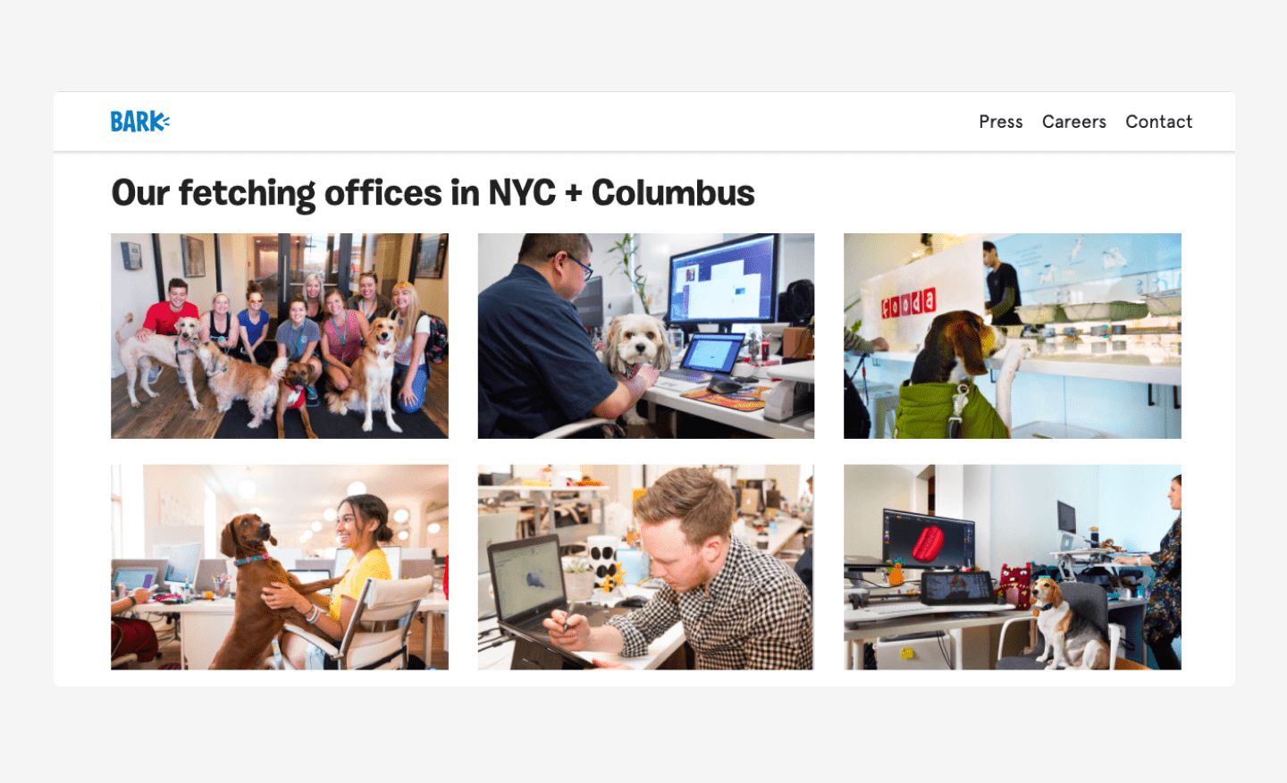 Bark's website career page example with employees